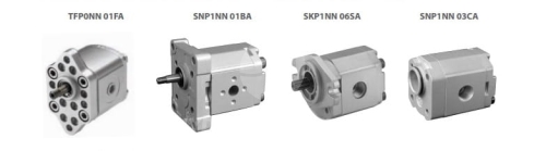 Danfoss Gear Pumps Motors India.jpg
