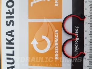 Uszczelnienie uszczelniacz uszczelka okular do pomp hydraulicznych do pompy hydraulicznej Casappa PLP20 PLP 20 typ płyty A  - wersje standardowa A1 NBR plus A2 - komplet 