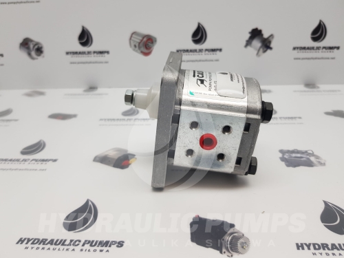 20250404_134429.jpg