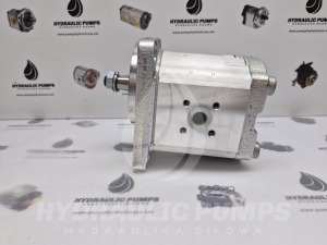 Pompa hydrauliczna zębata Bosch Rexroth 0510725030 0510 725 030  0 510 725 030  AZPF-12-022RCB20KB 
