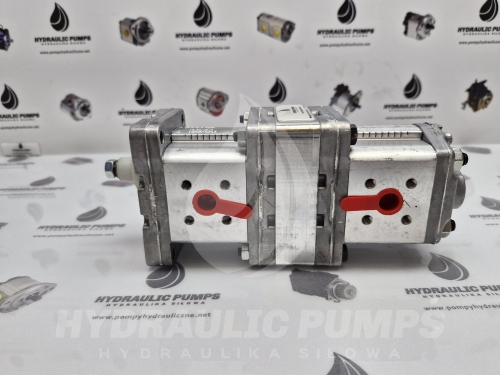 Pompa hydrauliczna zębata dwusekcyjna Marzocchi 1P D 5,0 P225 + 1P D 5,0 P225 1P D 5.0 P225 + 1P D 5.0 P225 1PD5,0 P225 + 1PD5,0 P225 1PD5.0 P225 + 1PD5.0 P225 1PD5,0P225 + 1PD5,0P225 1PD5.0P225 + 1PD5.0P225
