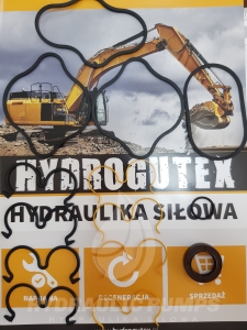 Komplet zestaw uszczelnień uszczelnienia do pompy hydraulicznej pomp hydraulicznych Casappa PLP20.9-07S1-L**/BC/20.6,3-LBE**-VS 666000CJ 0250674P  5100620006 Yanmar