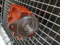 20180619_094716.jpg