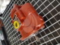 20180619_095214.jpg
